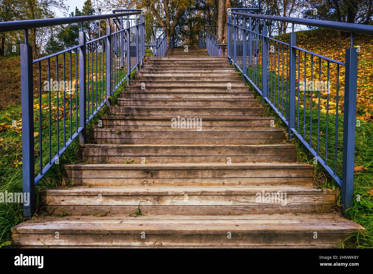 https://c8.alamy.com/comp/2HNWK8Y/wooden-staircase-with-stainless-steel-railing-in-the-park-2HNWK8Y.jpg