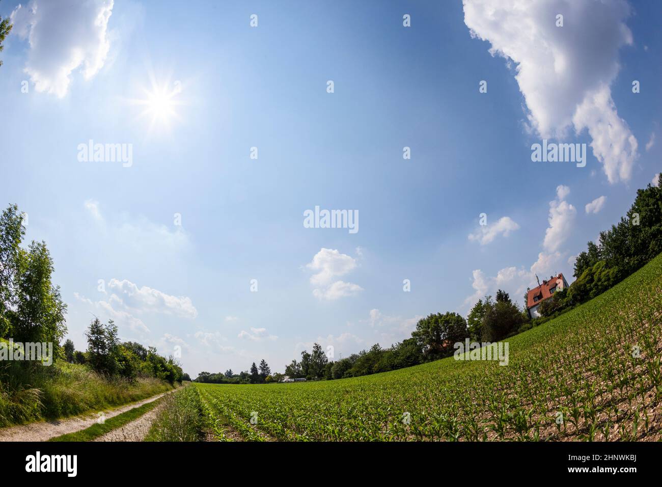 rural landscape with field and blue sky with fisheye Stock Photo - Alamy