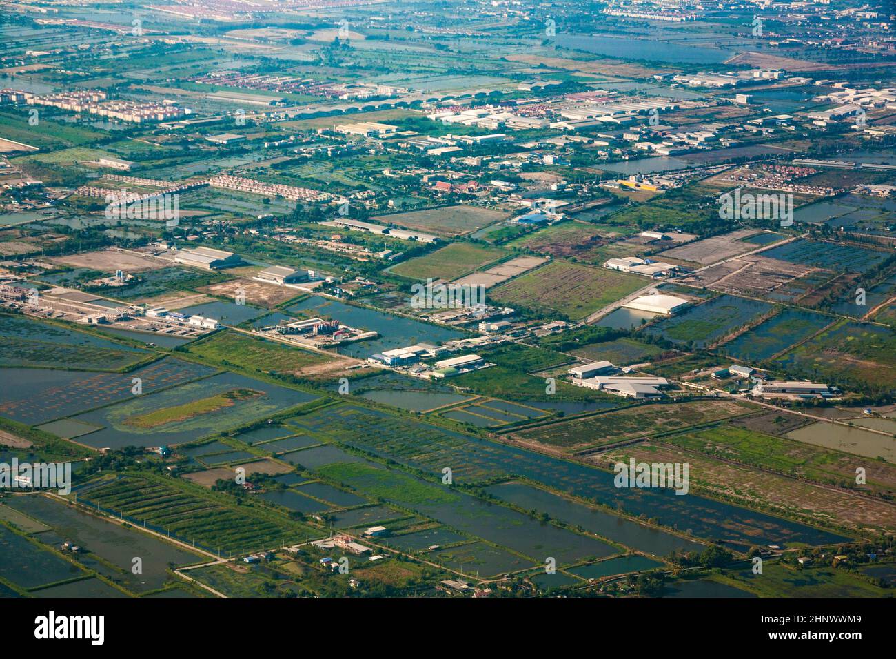 aerial of rice fields near the Airport in Bangkok, Thailand Stock Photo Alamy