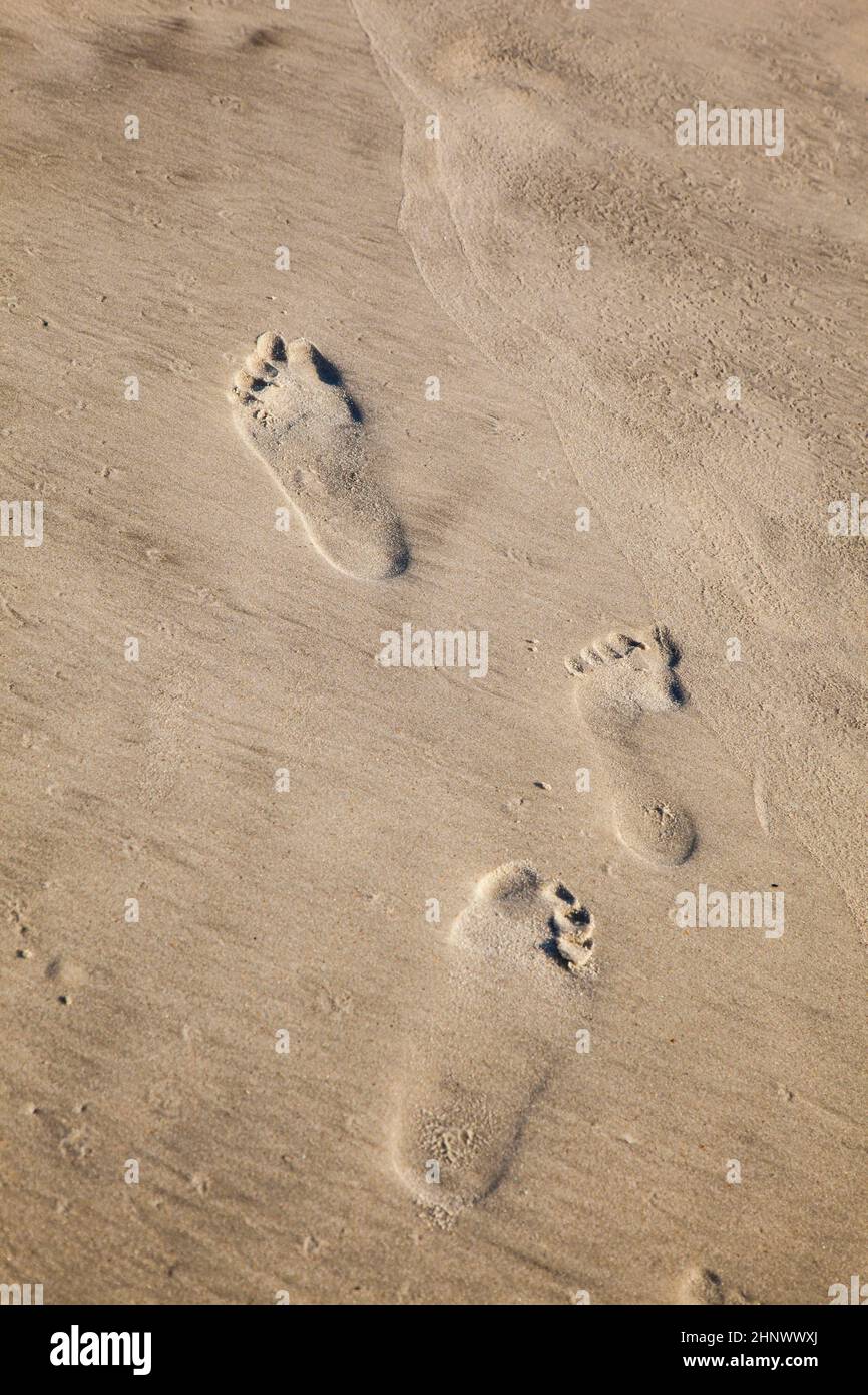 footprints at the beach in fine sand Stock Photo