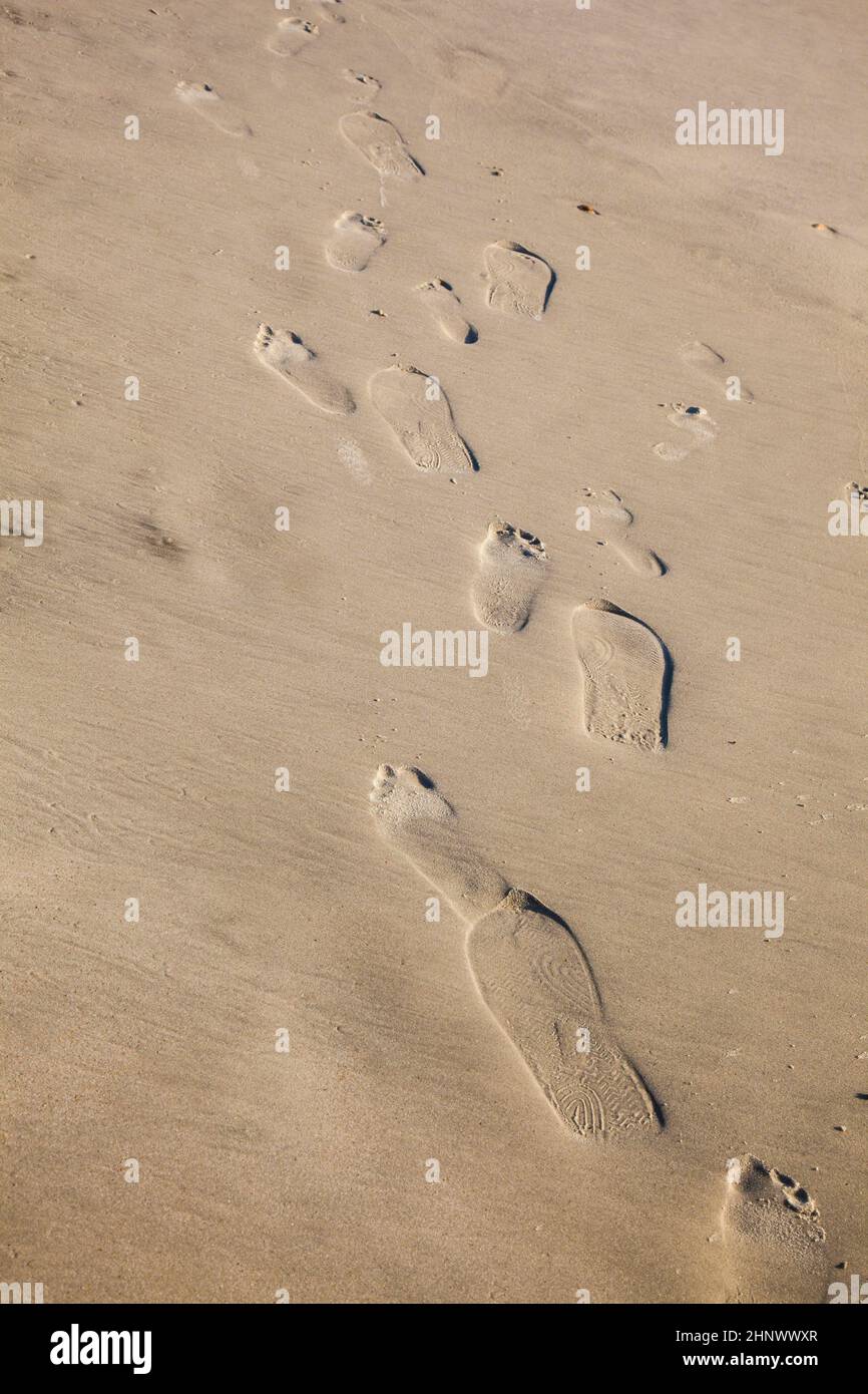 footprints at the beach in fine sand Stock Photo