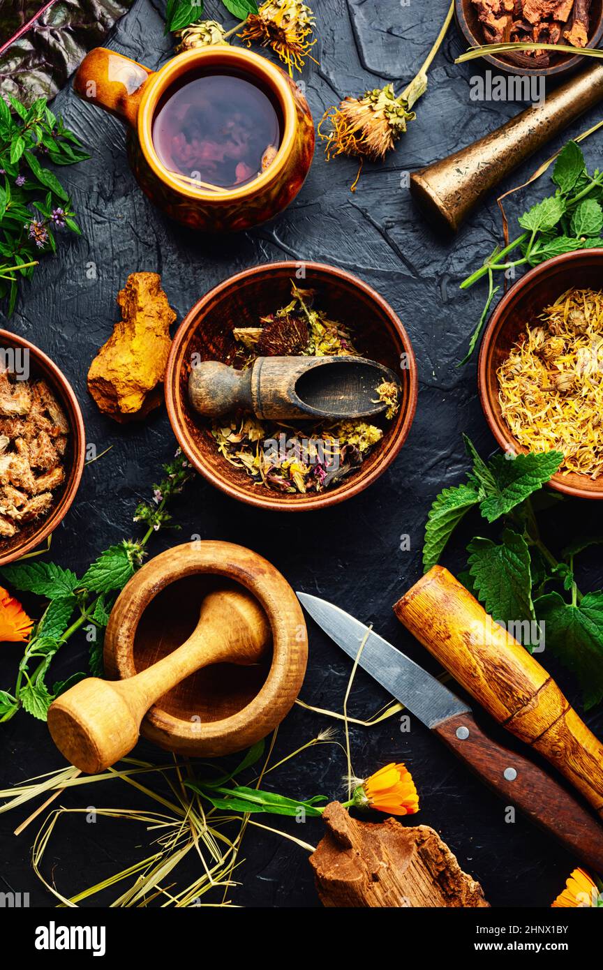 Medicinal herbs, plants and roots in alternative medicine.Preparation