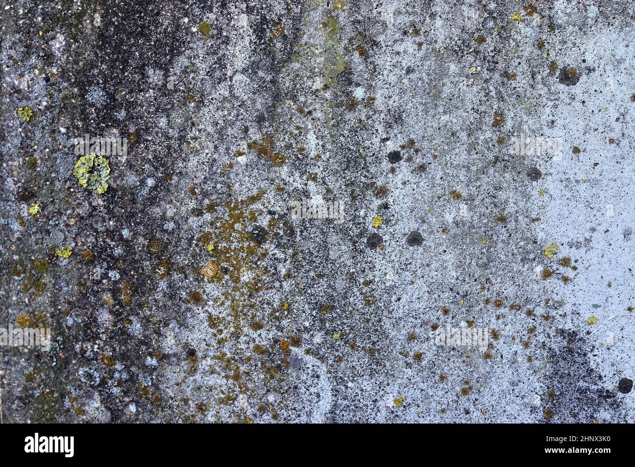 Detailed view on aged concrete walls fronm different modern and