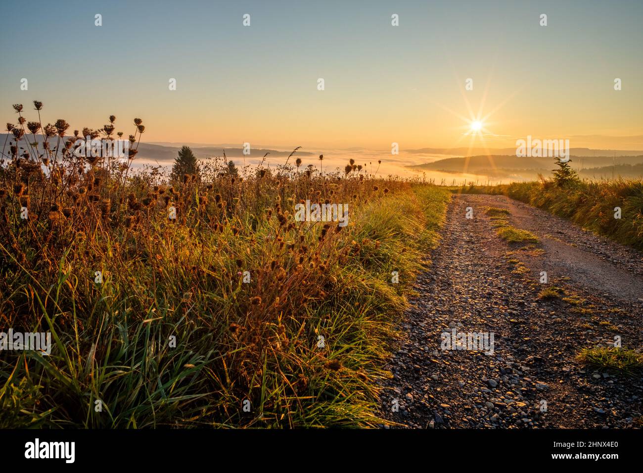 Meadow and road in foggy sunrise with sunstar landscape scene Stock Photo