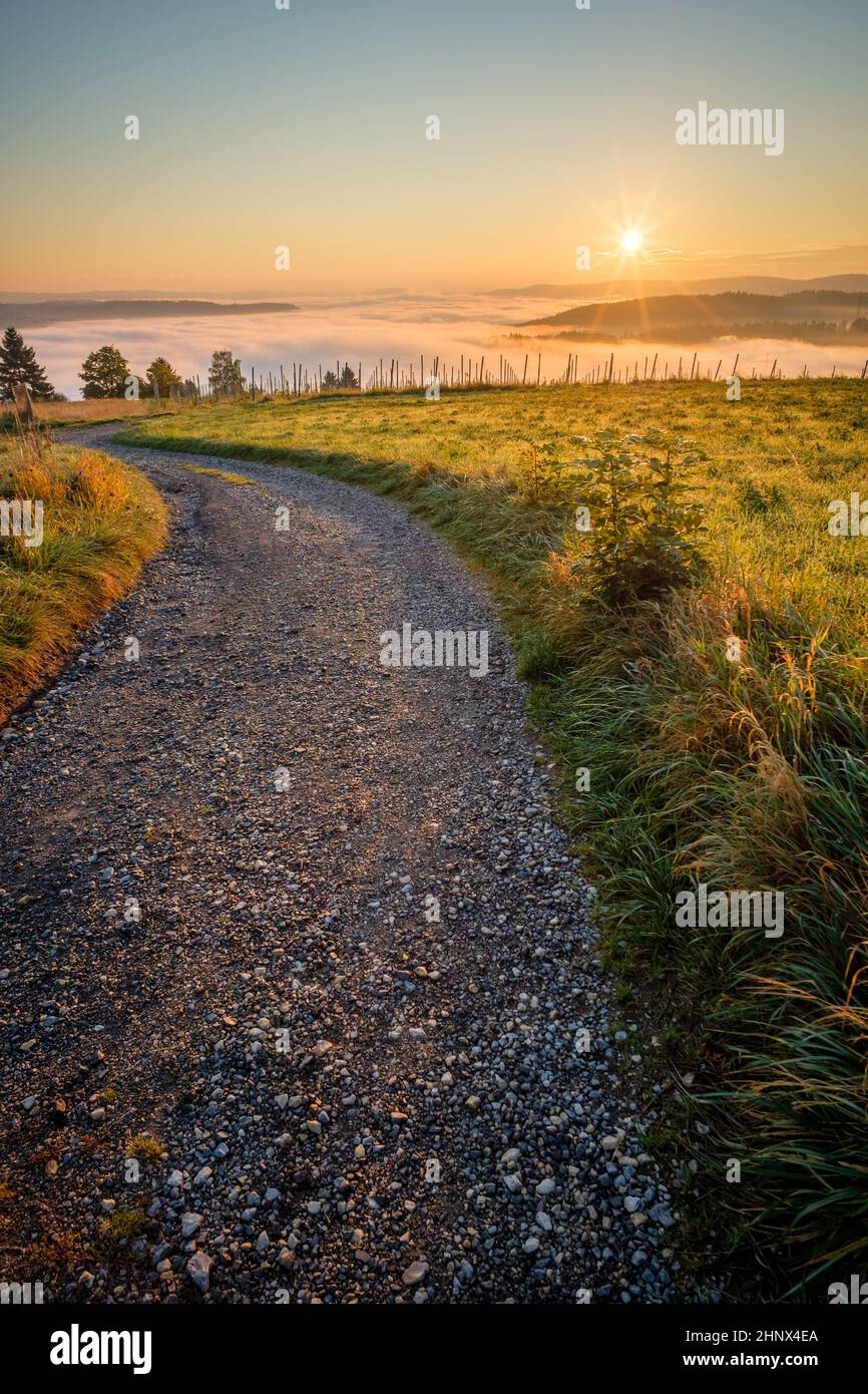 Sunrise over a field road and meadow with fog landscape Stock Photo - Alamy