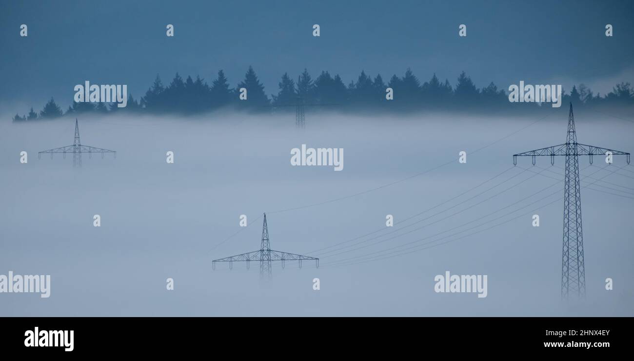Power poles in dawn fog with forest trees scene Stock Photo