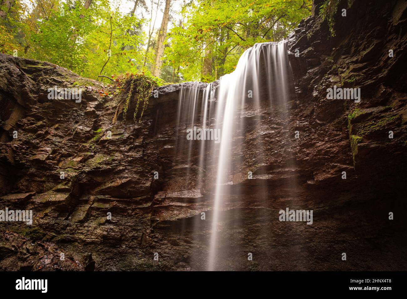 Waterfall cascade is flowing over a rock in a forest Stock Photo
