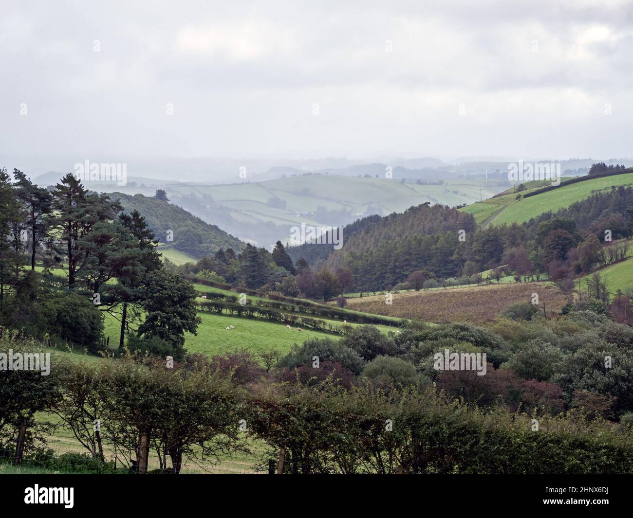 View of Mid Wales during Autumn Stock Photo