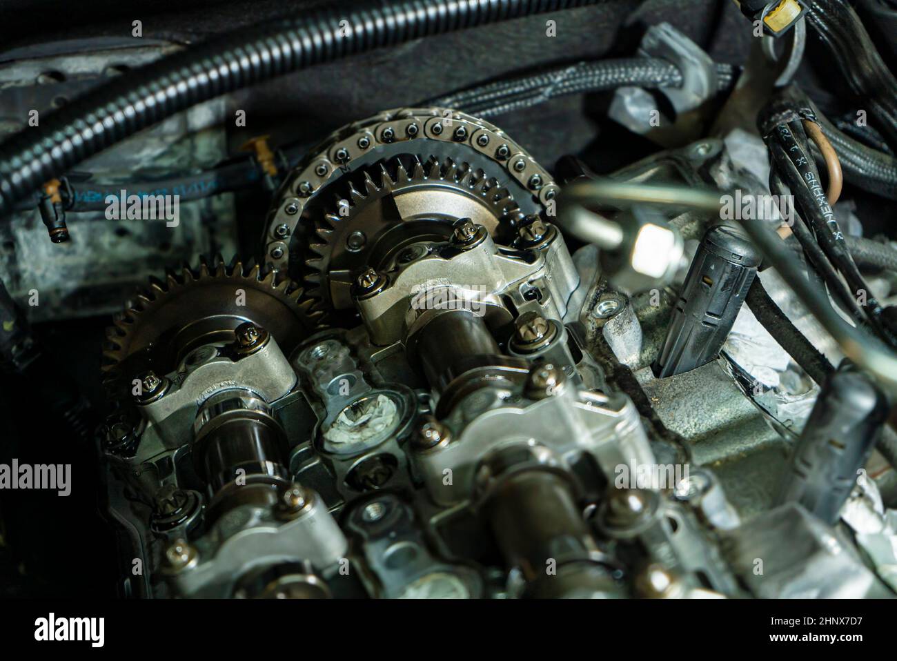 Detail of Timing chain of the car engine disassembled for maintenance