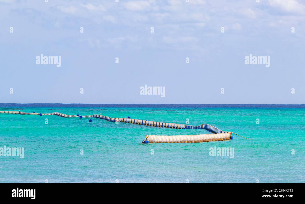 Tropical mexican beach with Sargazo seaweed net and clear turquoise blue water in Playa del Carmen Mexico. Stock Photo