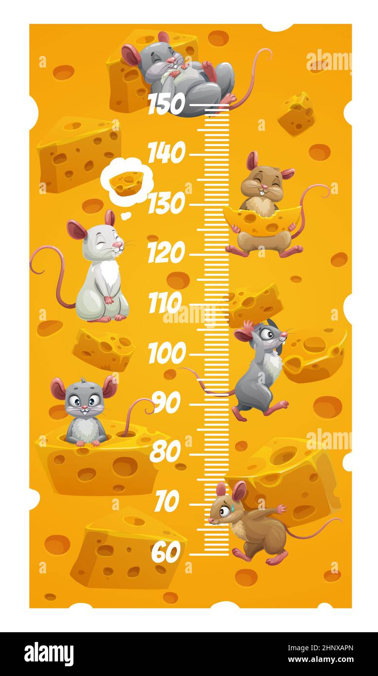 Height chart, kids growth measure ruler with cartoon mouses and rats with cheese. Child height chart, vector growth meter with funny mice rodents. Kin Stock Vector