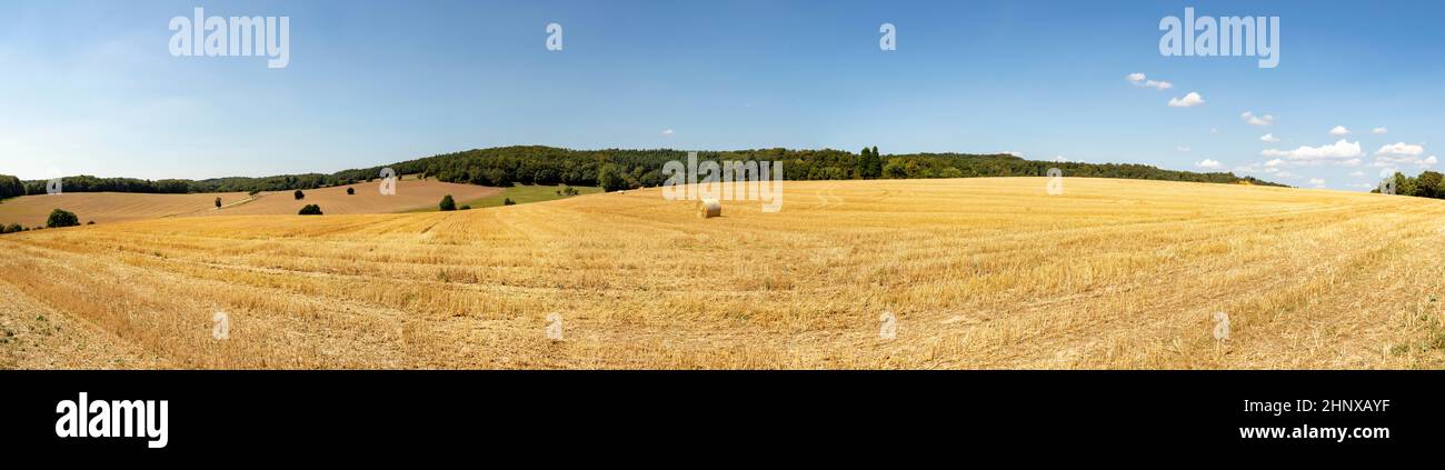 rural landscape with field after harvest and bale of straw under blue ...