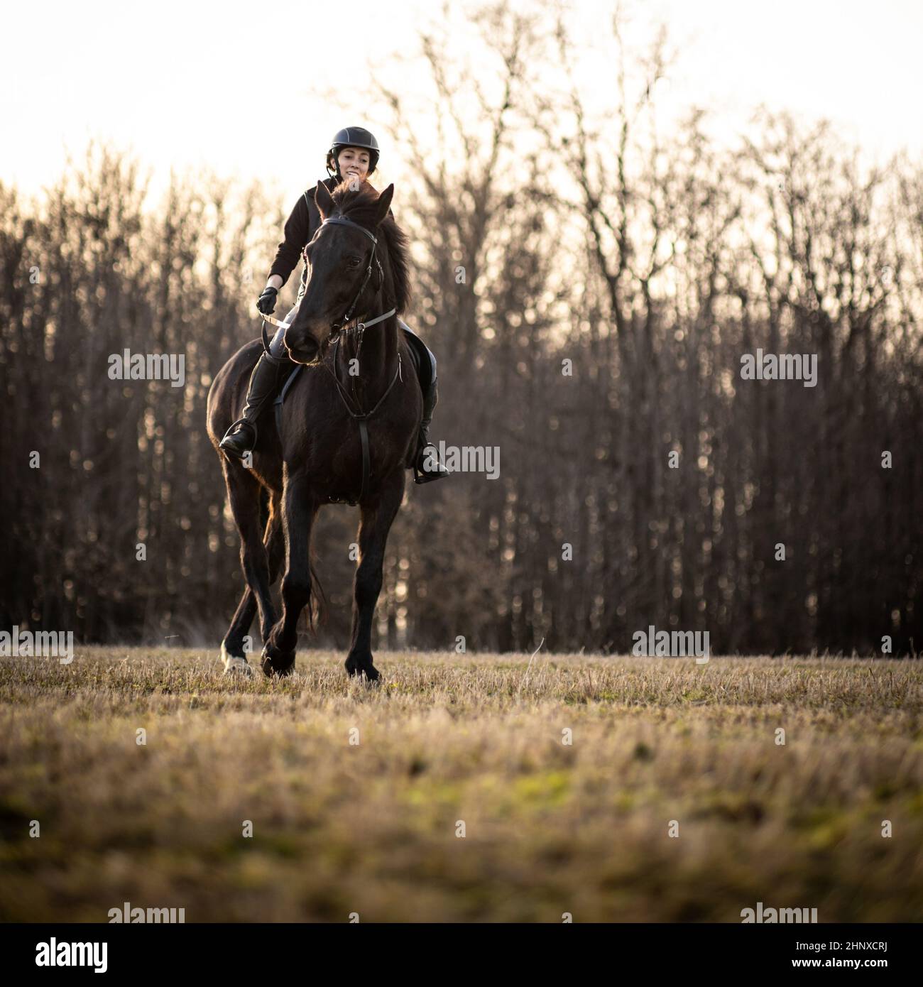 Female horse rider riding outdoors on her lovely horse Stock Photo - Alamy