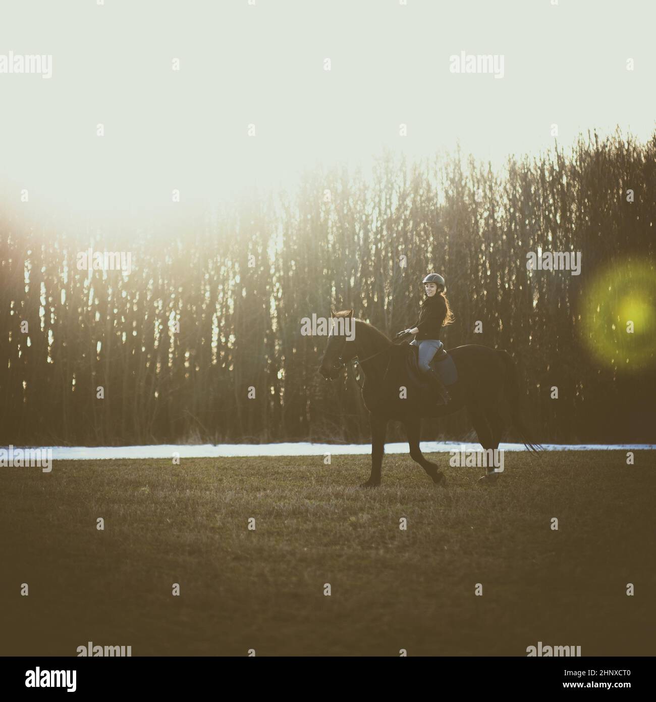 Female horse rider riding outdoors on her lovely horse Stock Photo - Alamy