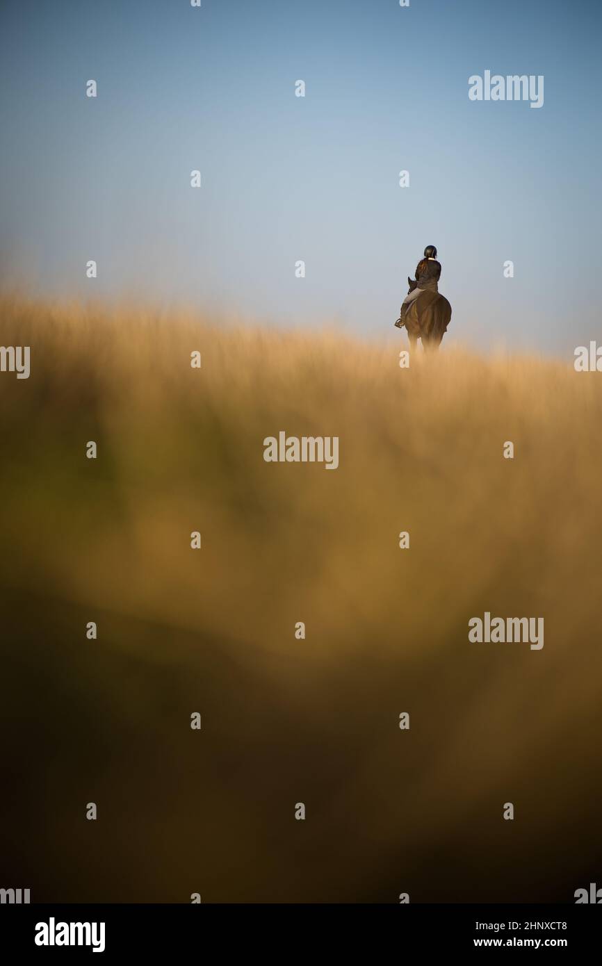 Female horse rider riding outdoors on her lovely horse Stock Photo - Alamy
