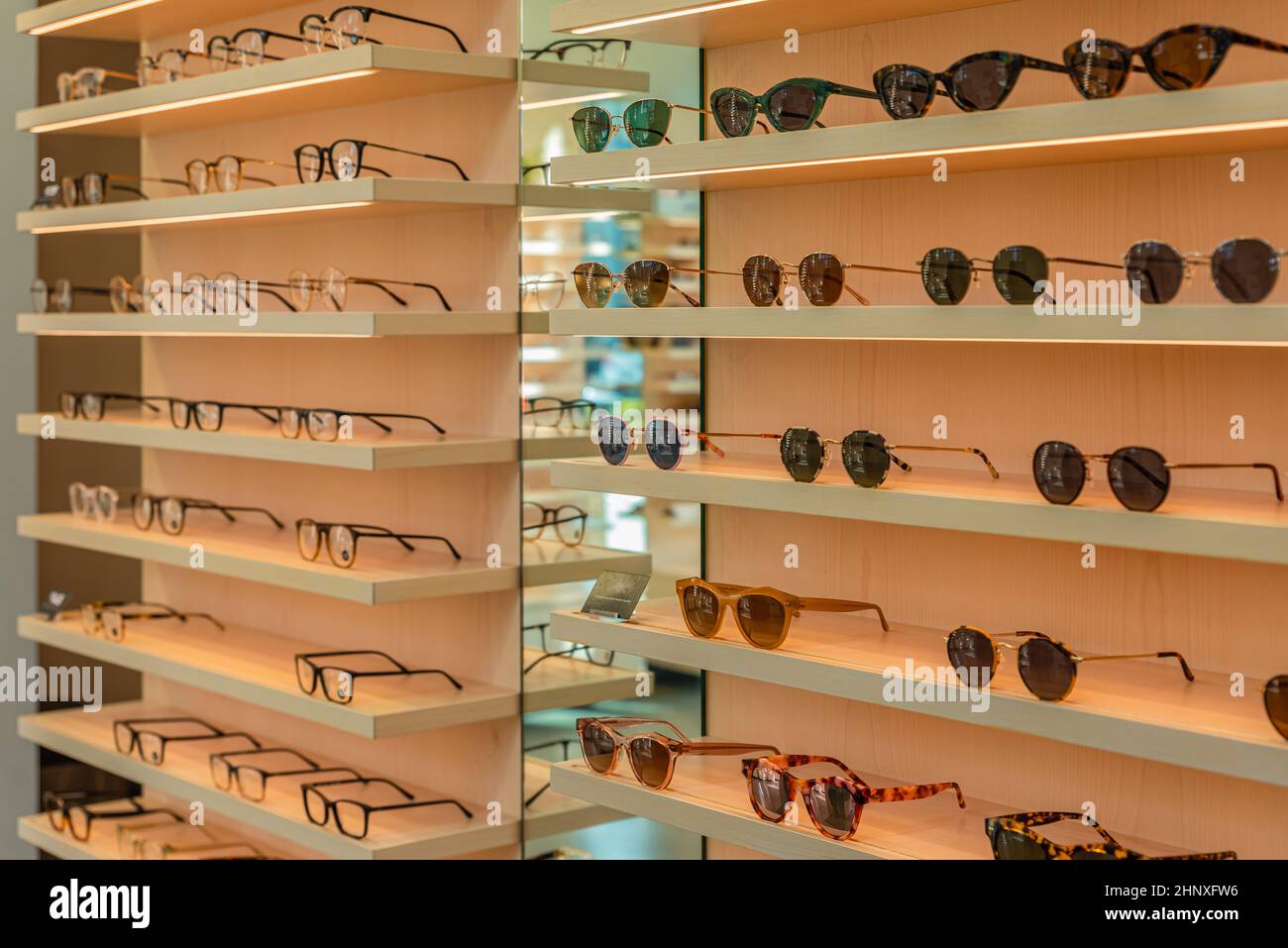 Trendy sunglasses, Summer eyeglasses, fashion collection, Different