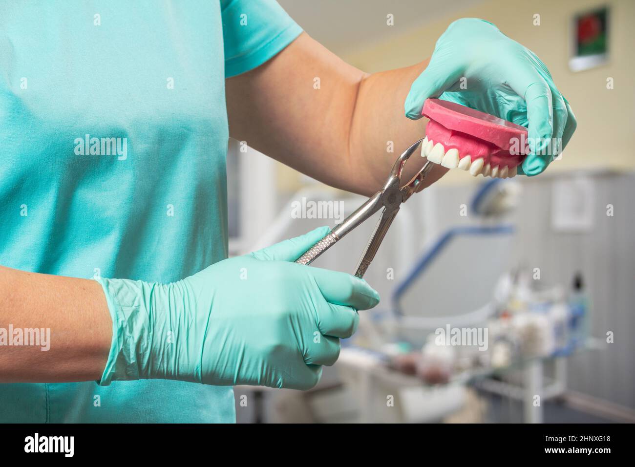 Dental Jaw Layout High Resolution Stock Photography and Images Alamy