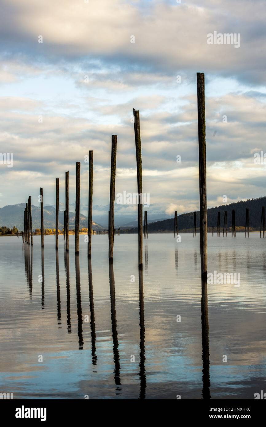 Wood pilings in the Pend Oreille RIver in October in Cusick, Washington. Stock Photo