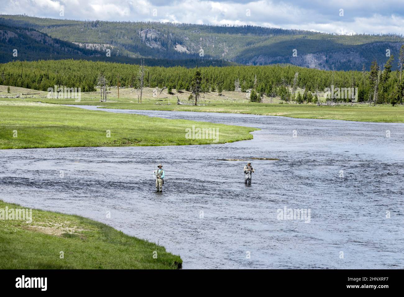 Fly fishermen in the Gibbon River in Yellowstone National Park. Stock Photo