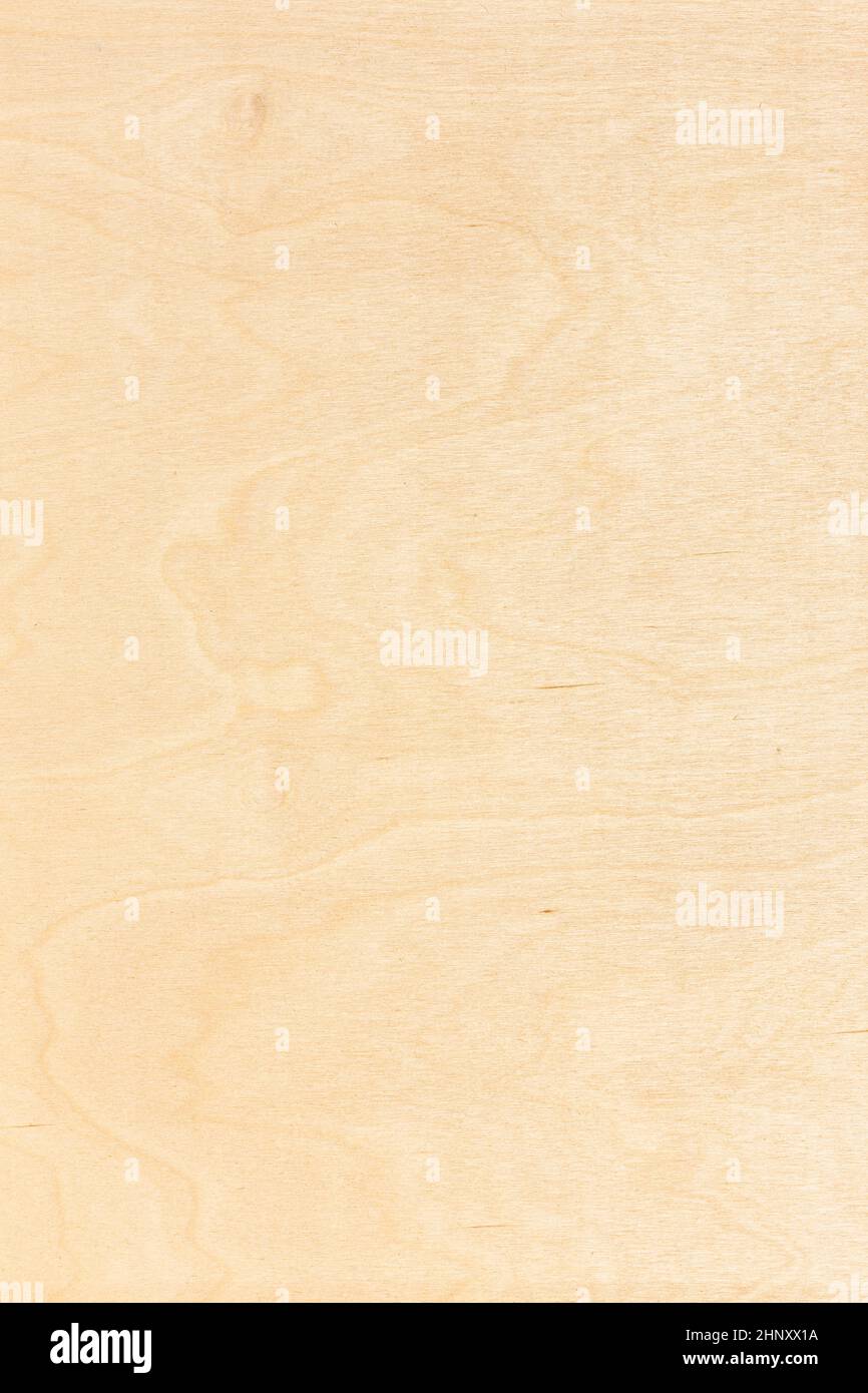 background from natural wood birch plywood sheet Stock Photo - Alamy
