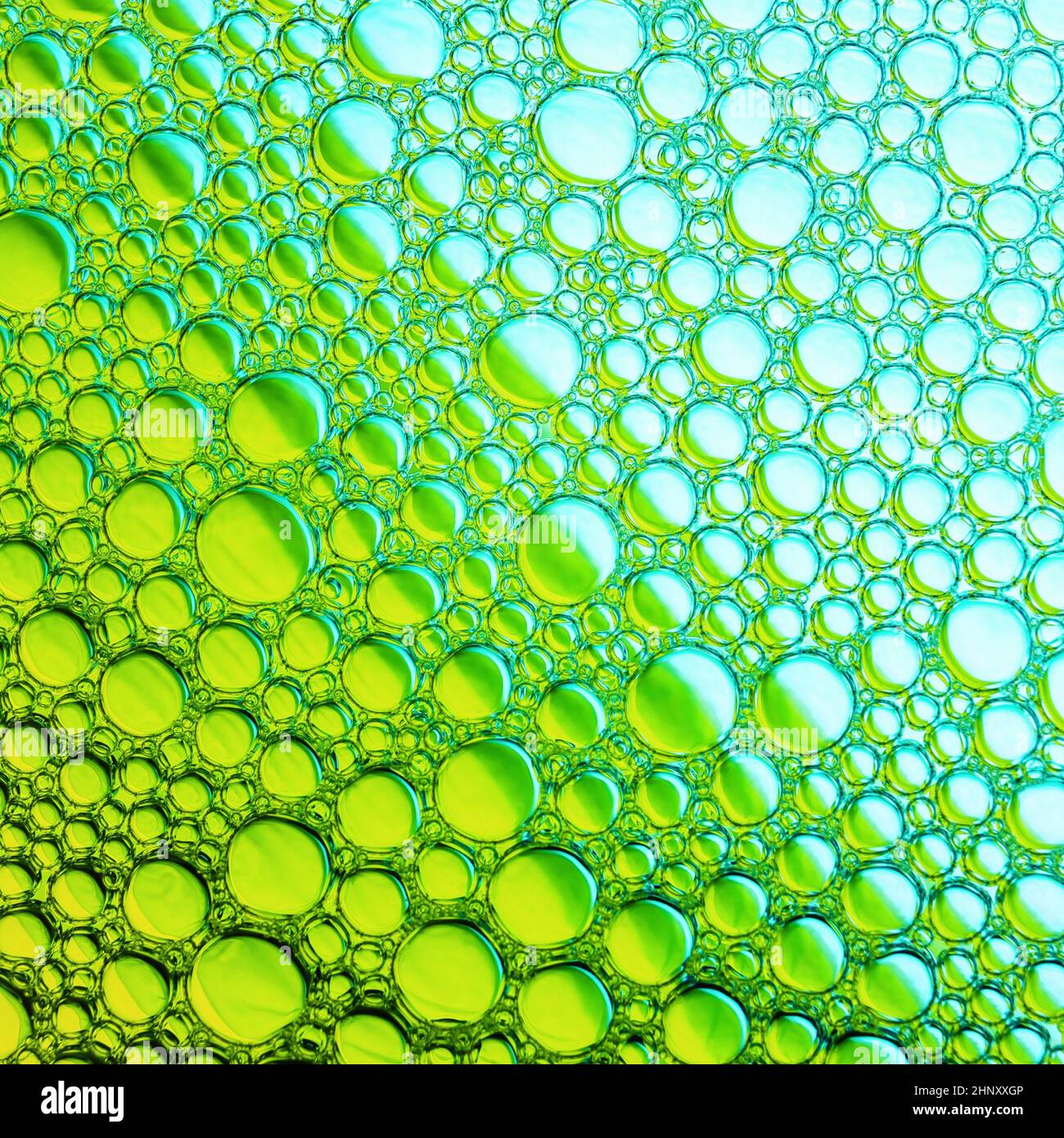 Green bubbles background. Foam bubbles macro texture. Stock Photo