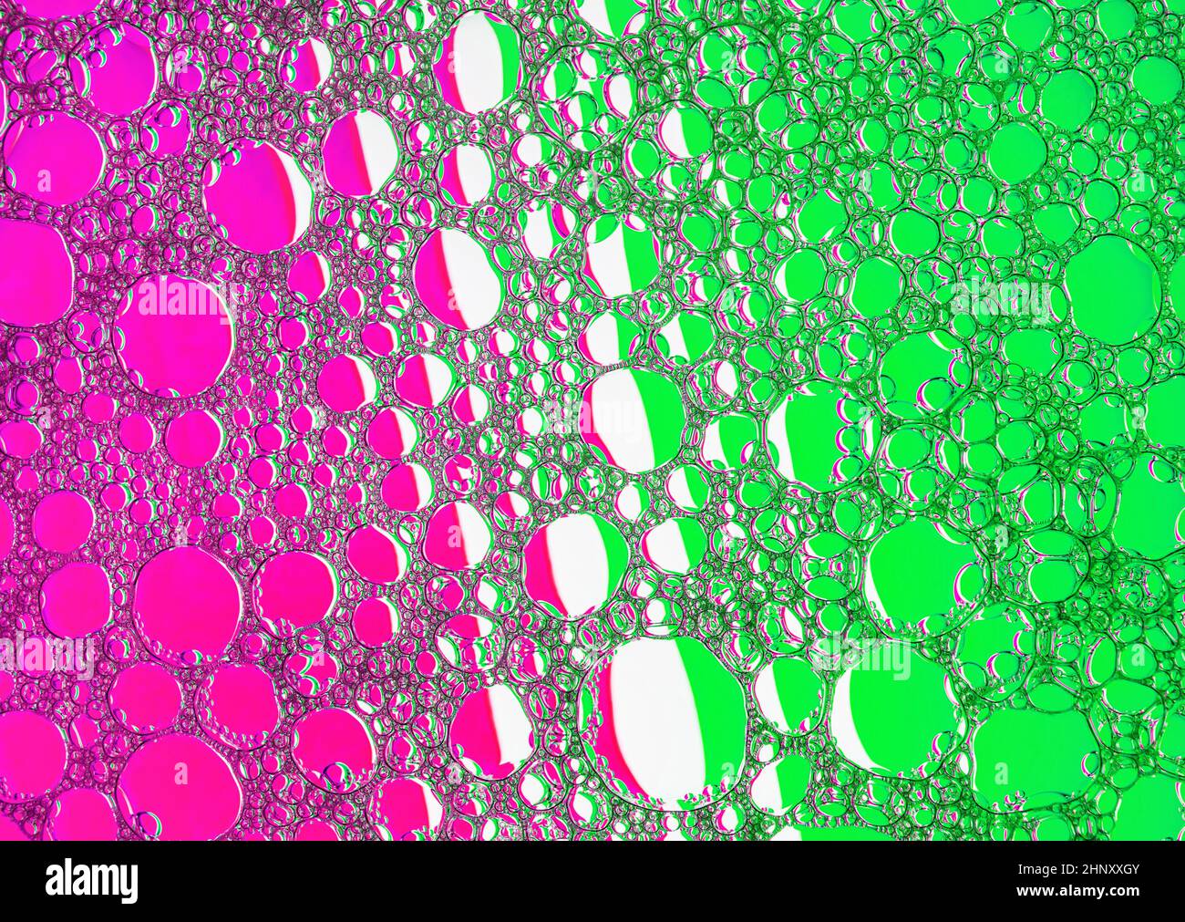 Magenta and green bubbles background. Foam bubbles macro texture. Stock Photo