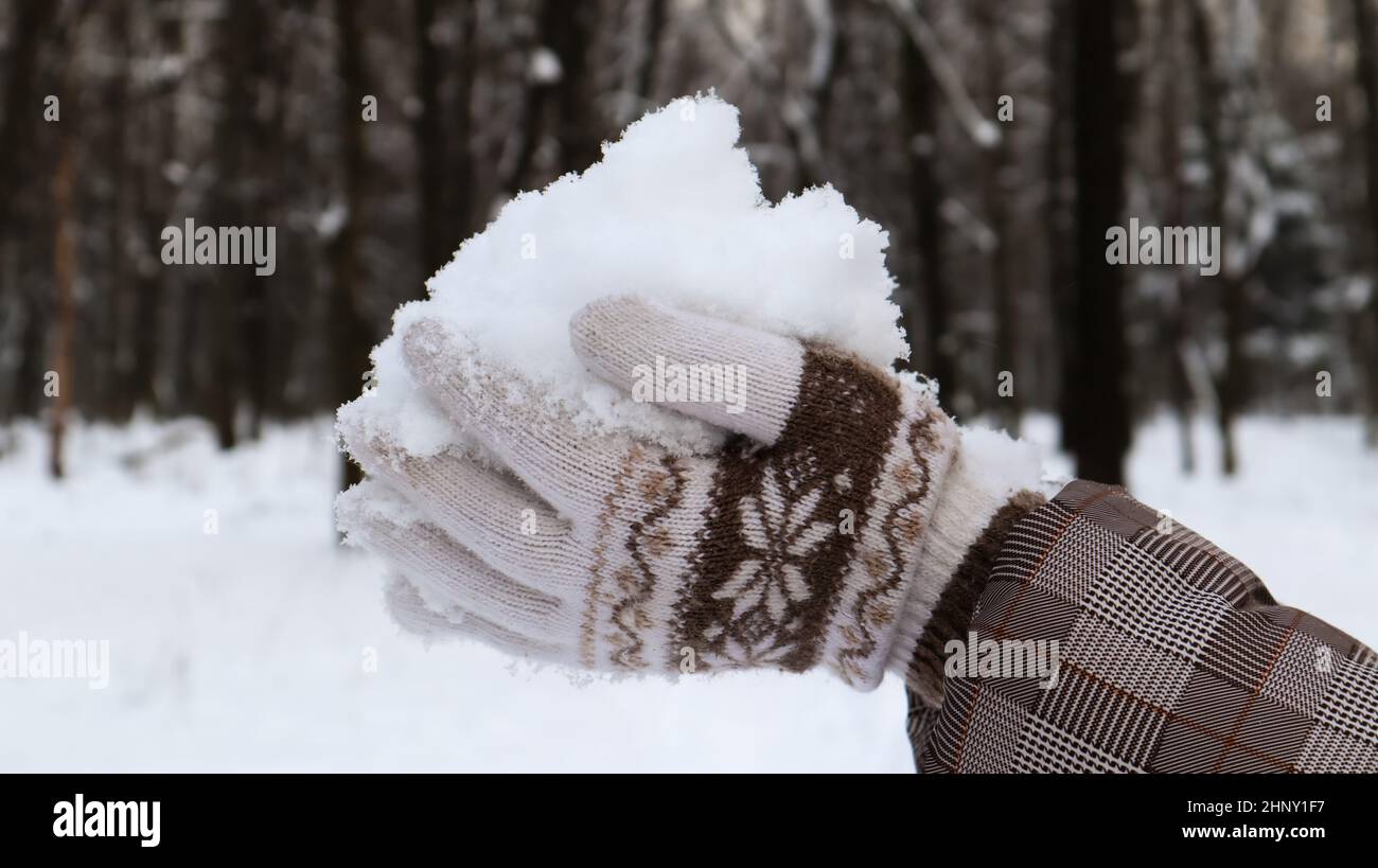 Women's hands in knitted mittens hold natural soft white snow outside on a winter day. Joyful winter time. Hand holds cold snow. Spending time in natu Stock Photo