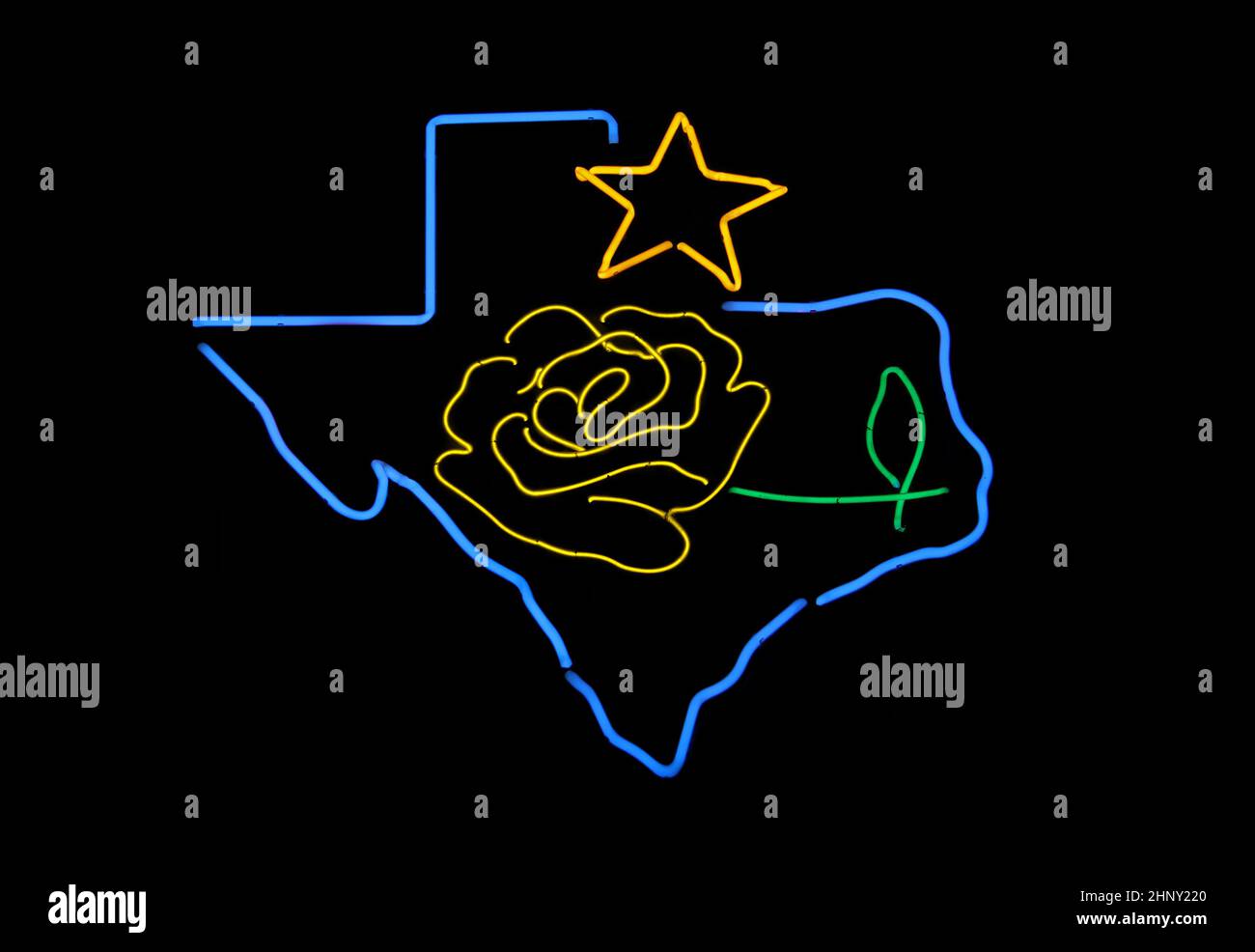 Photograph of Vintage Neon Sign Texas With Yellow Rose on Black