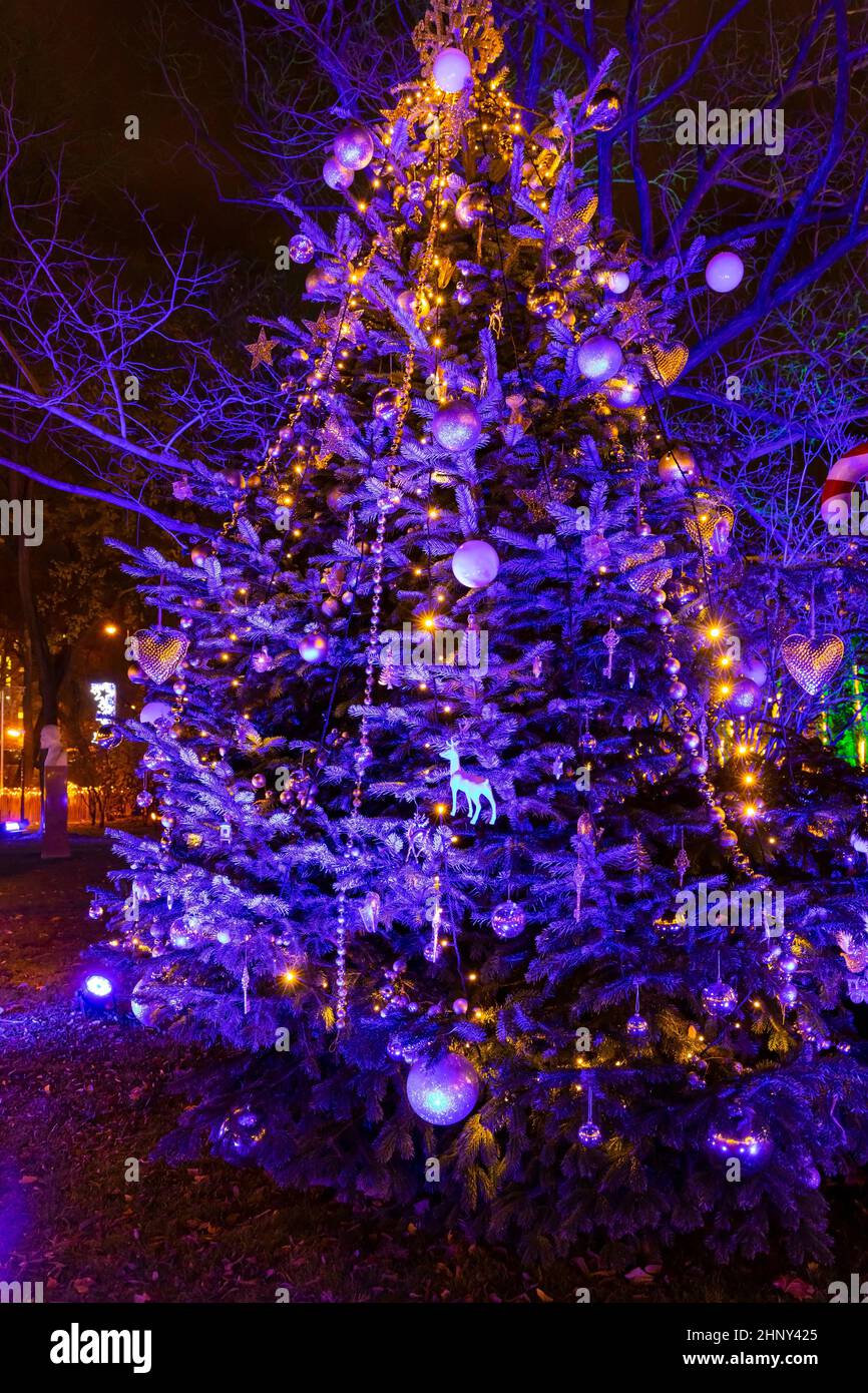 Christmas tree in Vienna, Austria Stock Photo Alamy