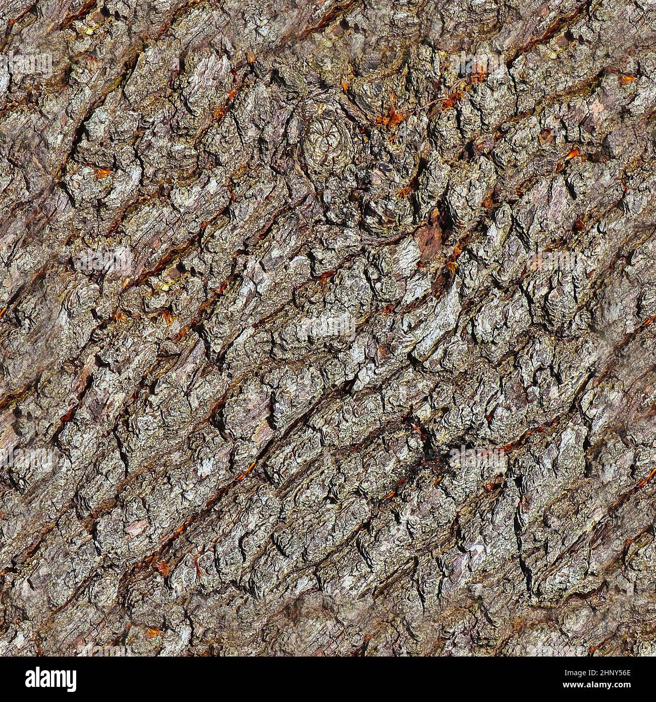 Photo realistic seamless texture pattern of tree bark in high
