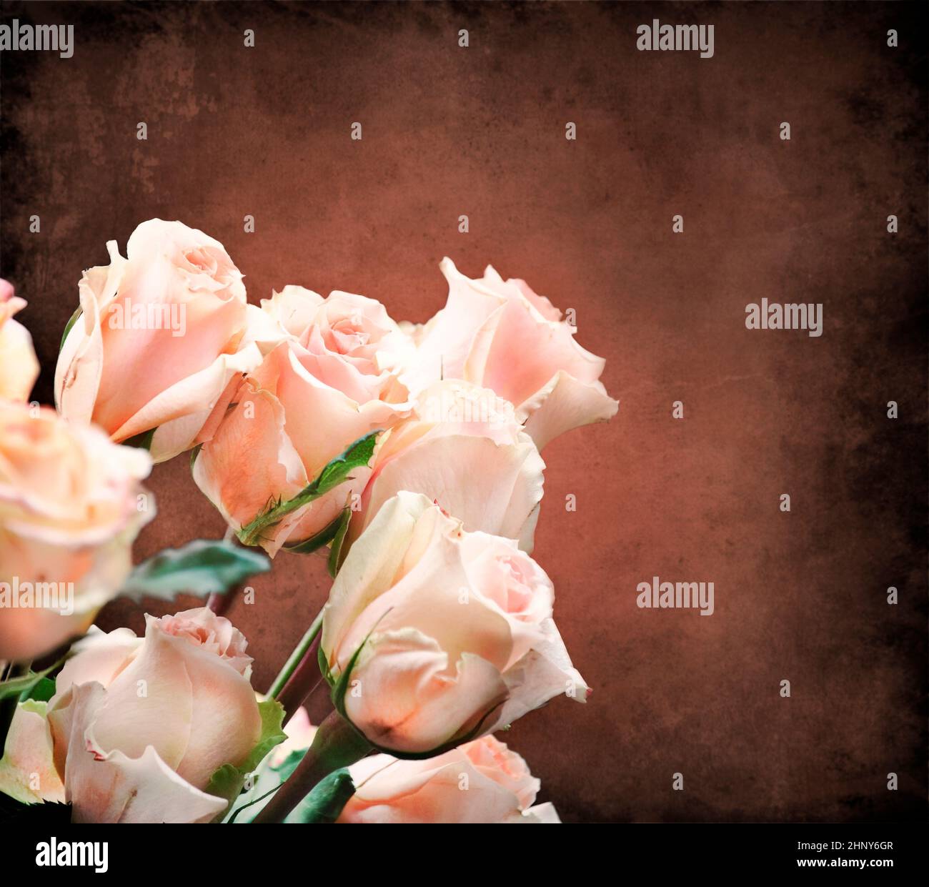 Bouquet of beautiful pink roses Stock Photo - Alamy