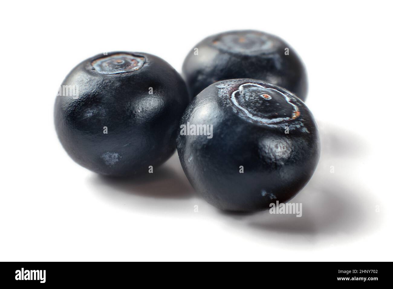 Three dark blueberries isolated on white background. Stock Photo