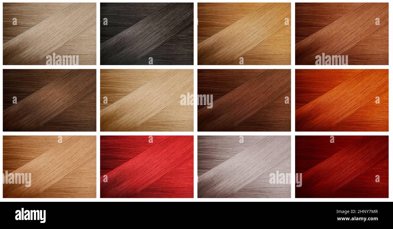 Set of various hair colors samples Stock Photo