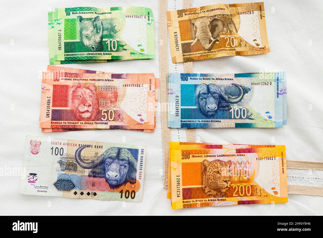 South African colorful banknotes money. Back with BIG Five animals Stock Photo