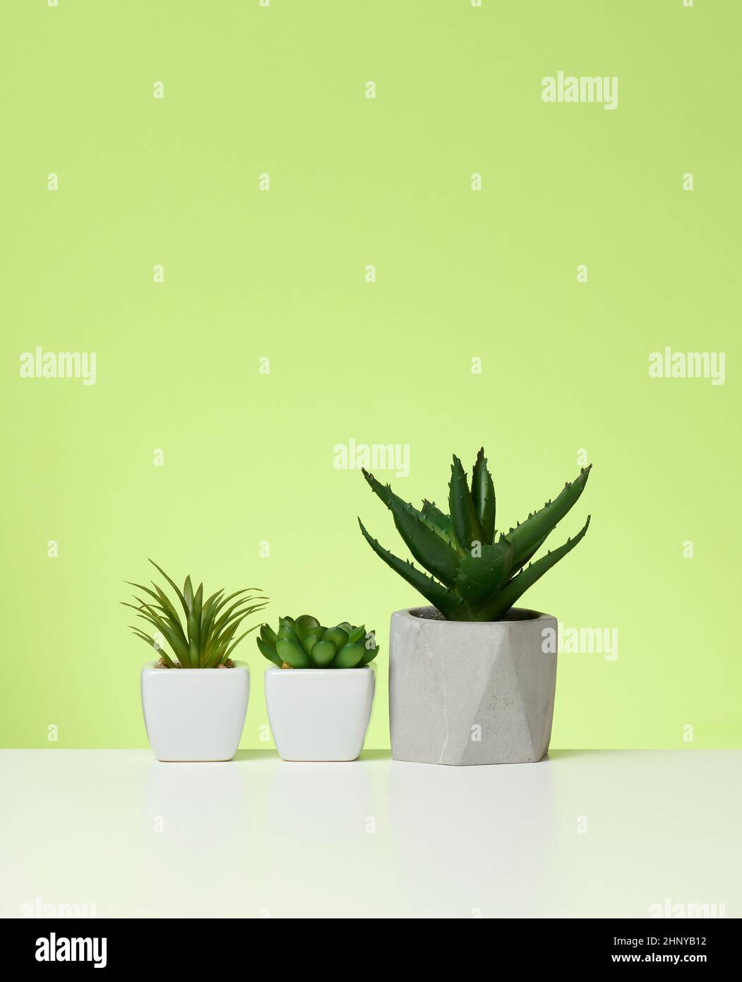 three ceramic pots with plants on a white table, green background Stock Photo