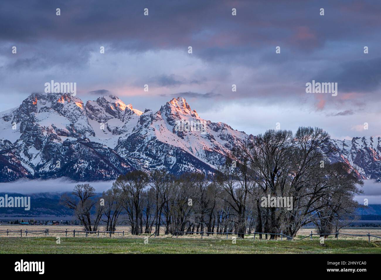 On the prairie looking at the mountain range of the Grand Tetons in