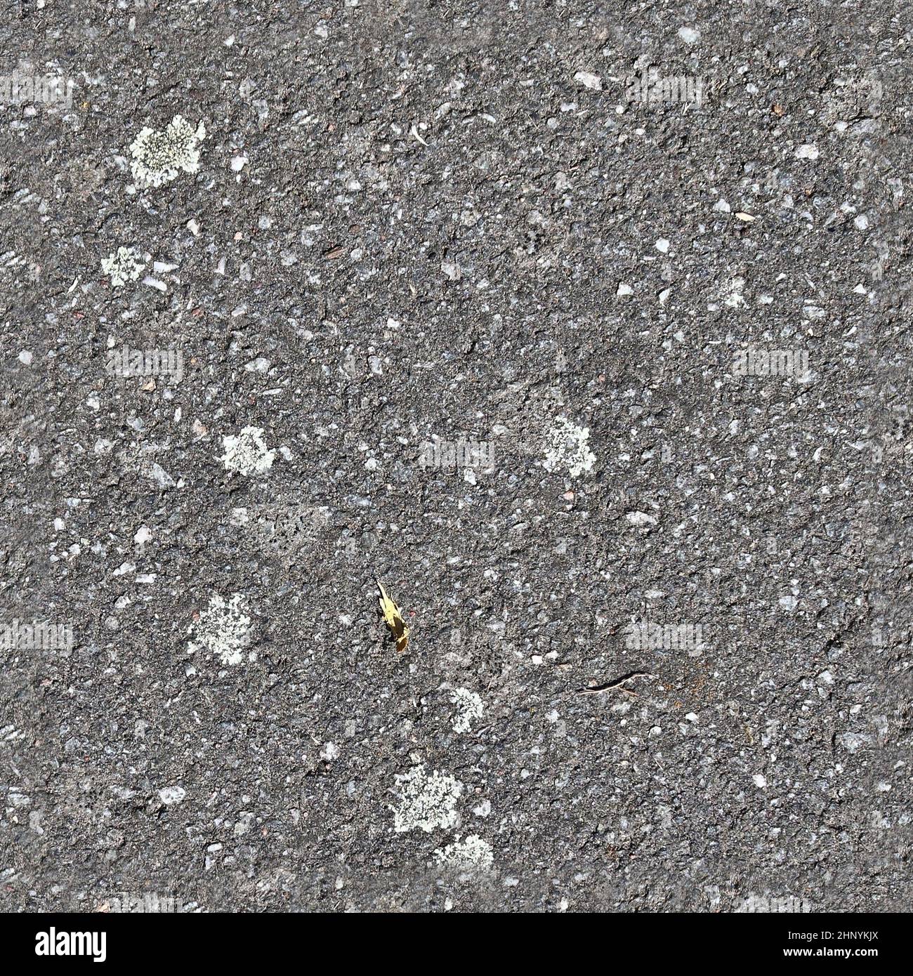 Detailed seamless texture of asphalt on a road in high resolution Stock ...