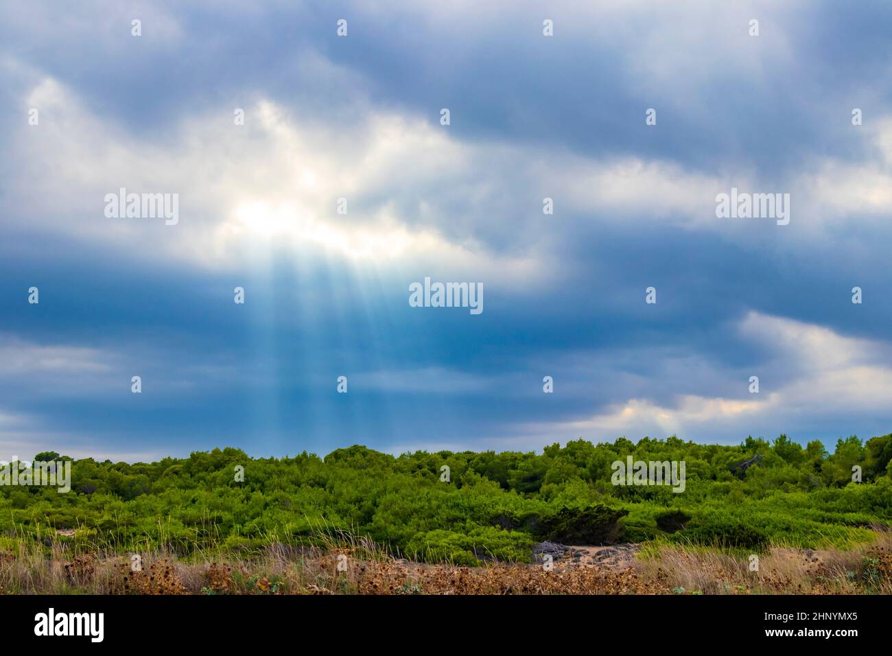 Sun rays from the sky in rough natural coastal landscape panorama in ...