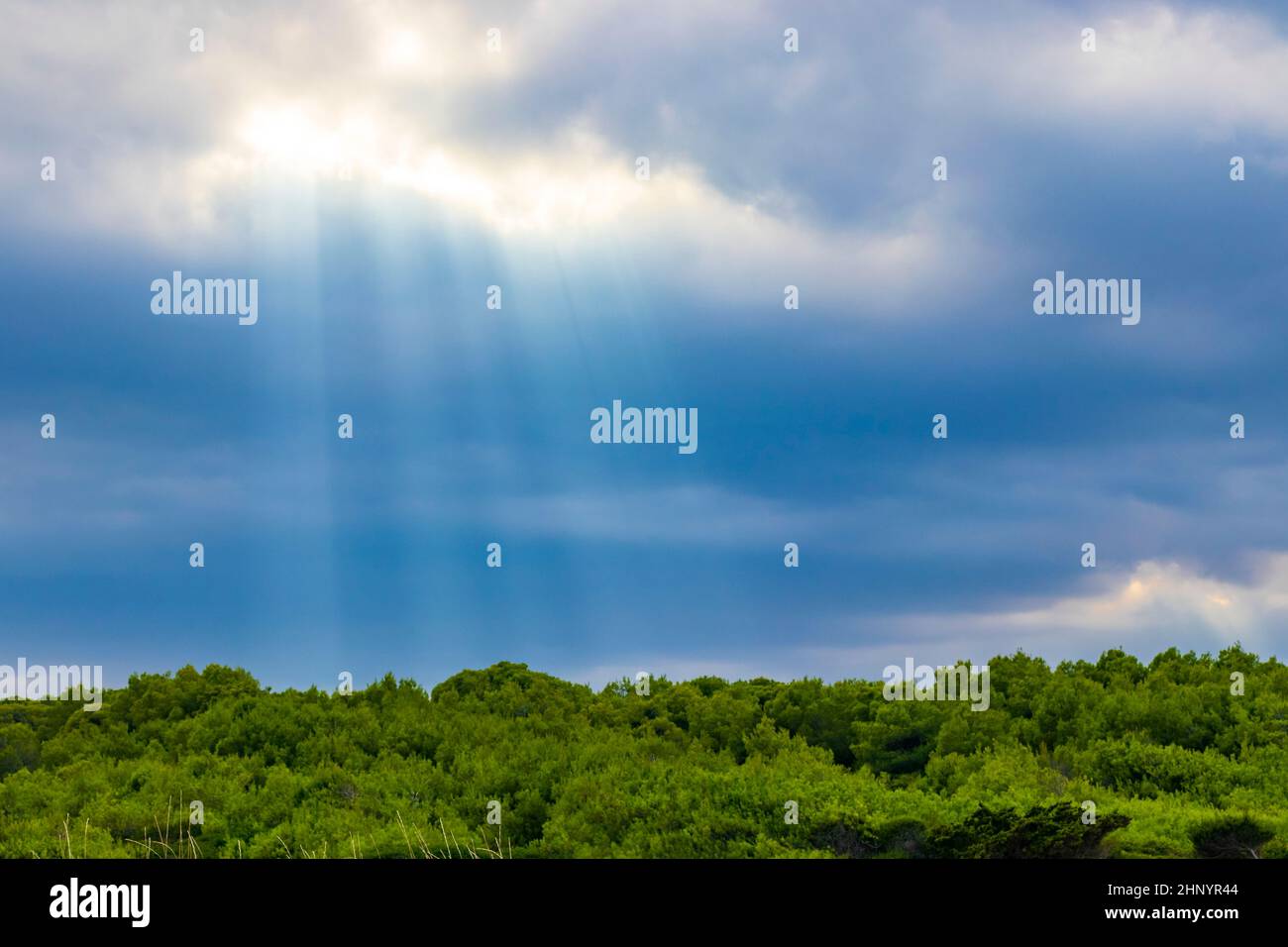 Sun rays from the sky in rough natural coastal landscape panorama in ...