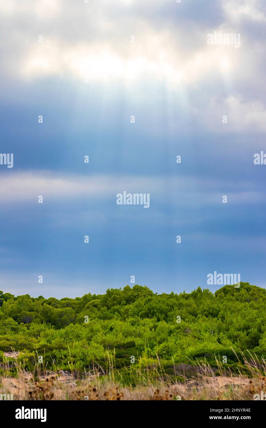 Sun rays from the sky in rough natural coastal landscape panorama in ...