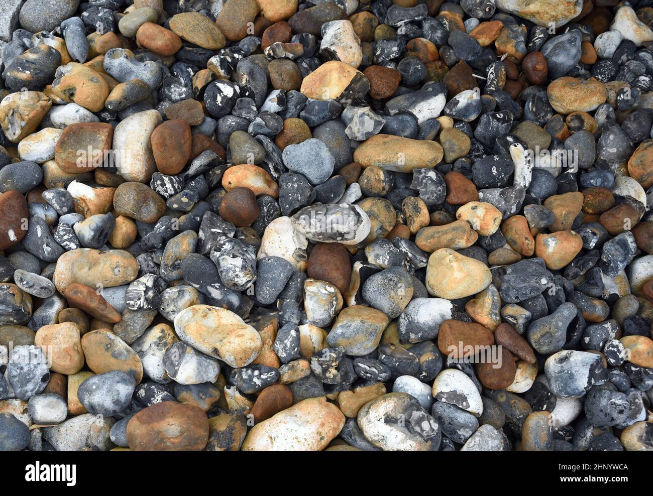 Kieselsteine an der Ostseekueste sind wunderschoen anzusehen. Pebbles on the Baltic coast are beautiful to look at. Stock Photo