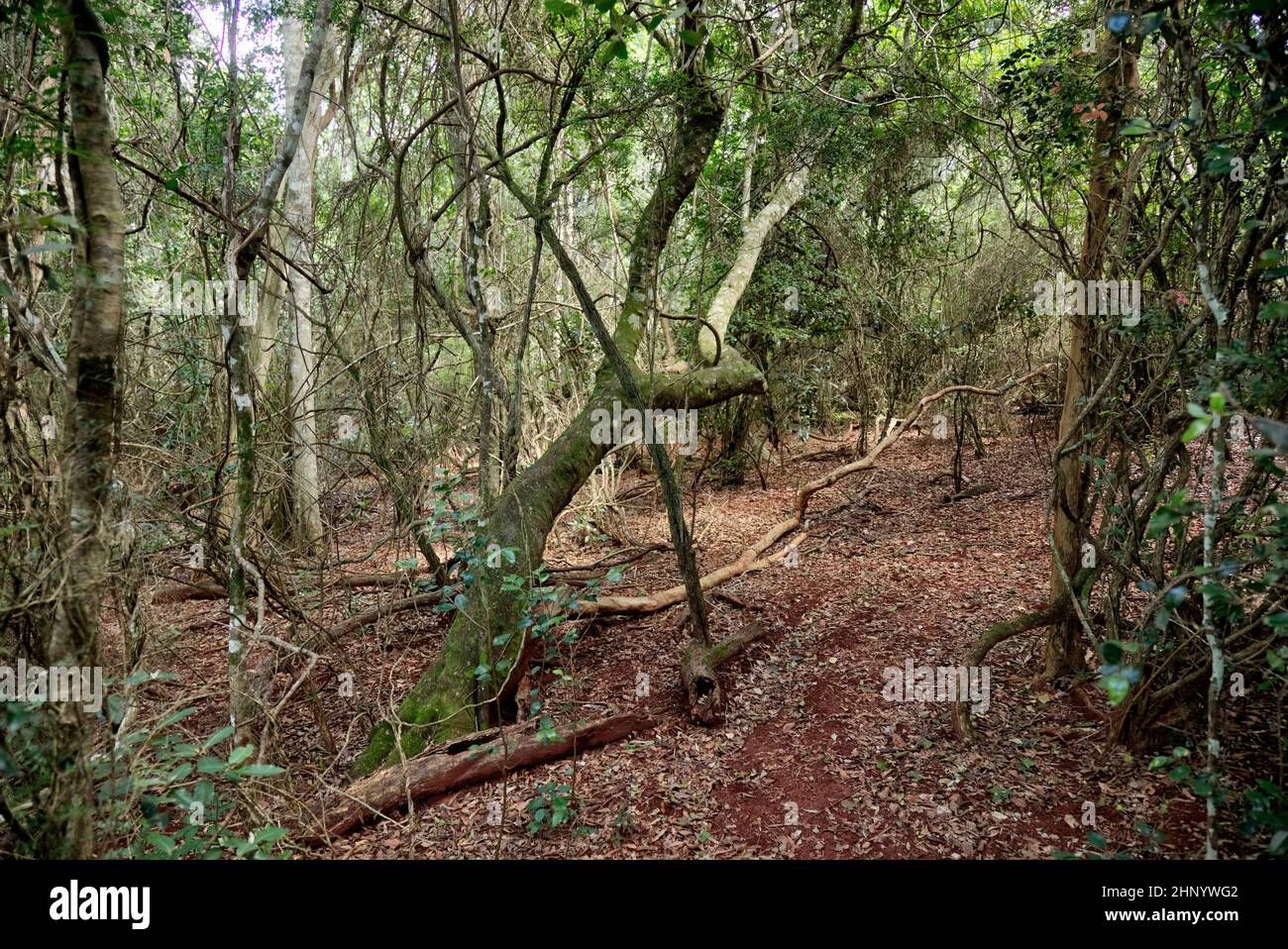 Jack Smith Conservation Park showcase what the original landscape was like before agricultural