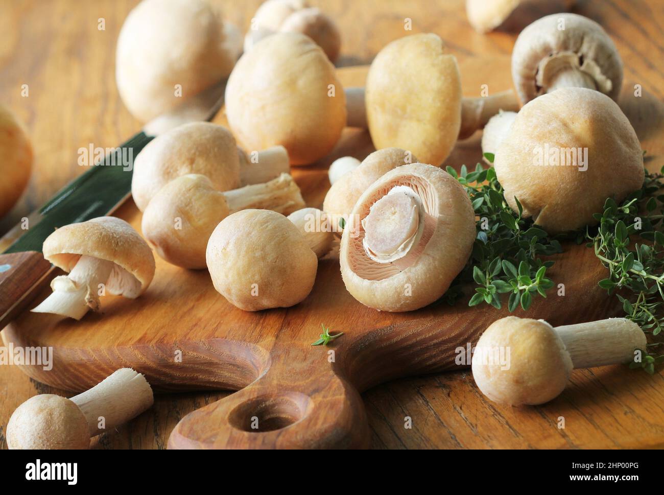 Raw Gypsy mushroom or Cortinarius caperatus mushrooms redy for cooking. Composition with wild mushrooms, herbs, onion . Stock Photo