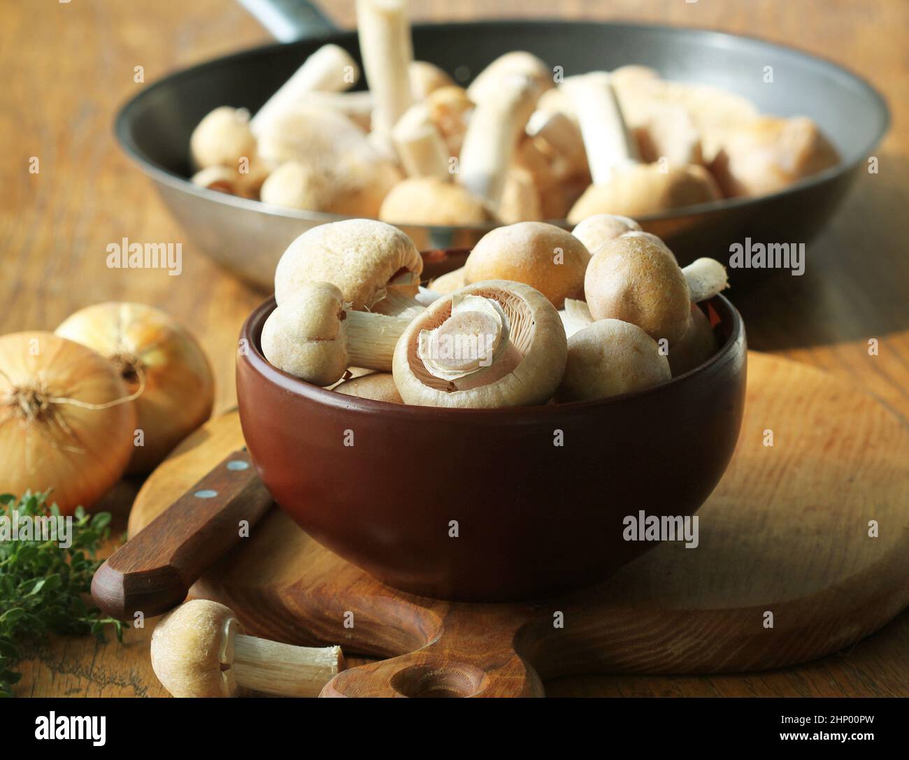 Raw Gypsy mushroom or Cortinarius caperatus mushrooms redy for cooking. Composition with wild mushrooms, herbs, onion . Stock Photo