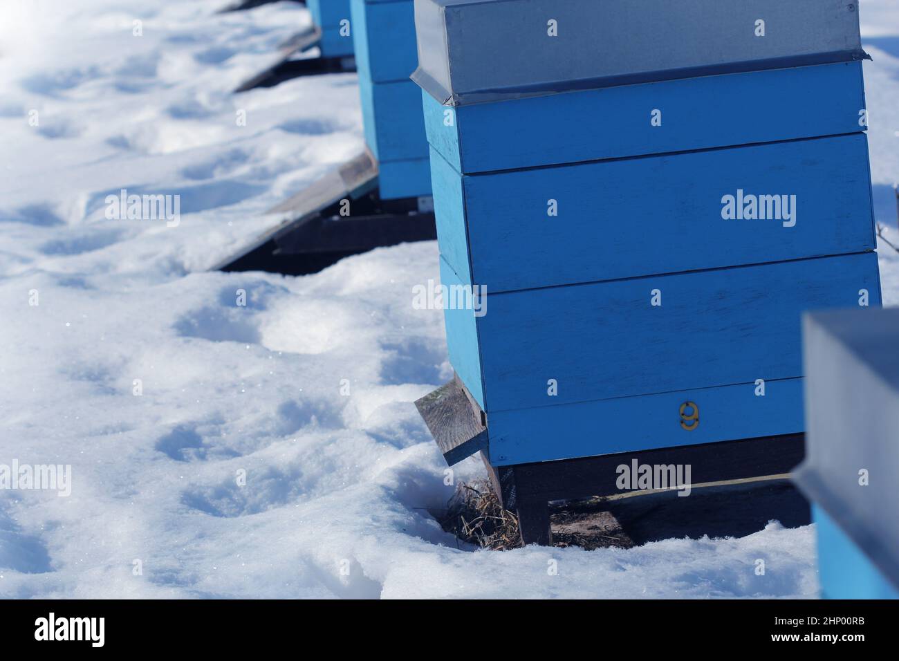 Winter country scene with beehives covered with snow . Stock Photo