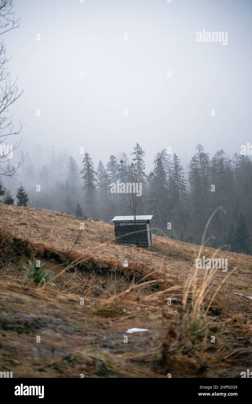 Vertical shot of a cabin in a forest Stock Photo - Alamy
