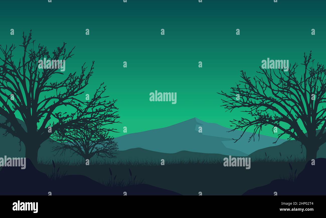 Aesthetic mountain view with the silhouette of pine trees and forest ...