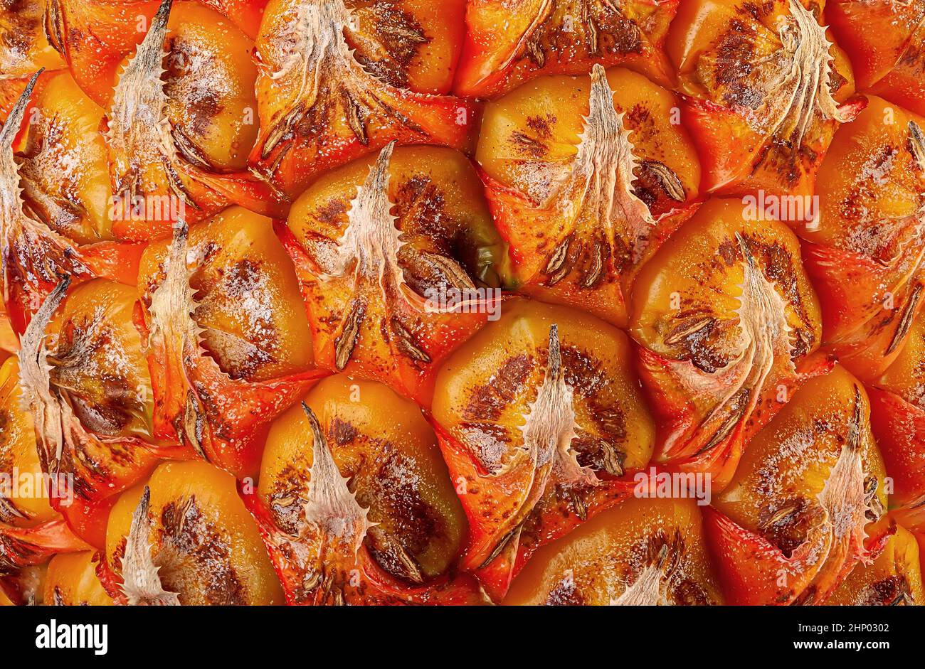 Abstract background texture ripe mini pineapple close up Stock Photo
