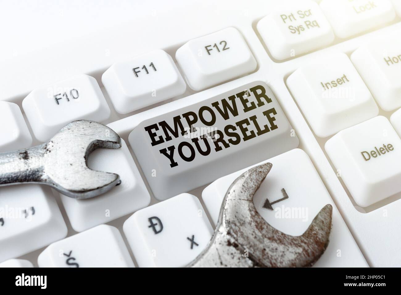 Text showing inspiration Empower Yourself, Internet Concept taking control of our life setting goals and making choices Abstract Programmer Typing Ant Stock Photo