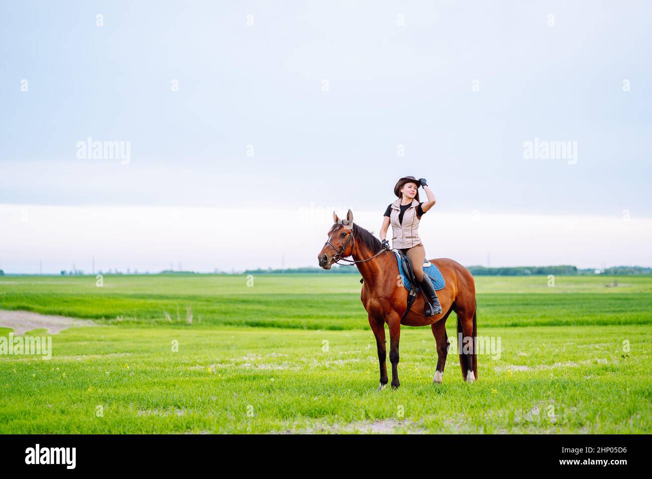 Attractive sport cowgirl horse woman hold harness, training. Horseback riding Stock Photo